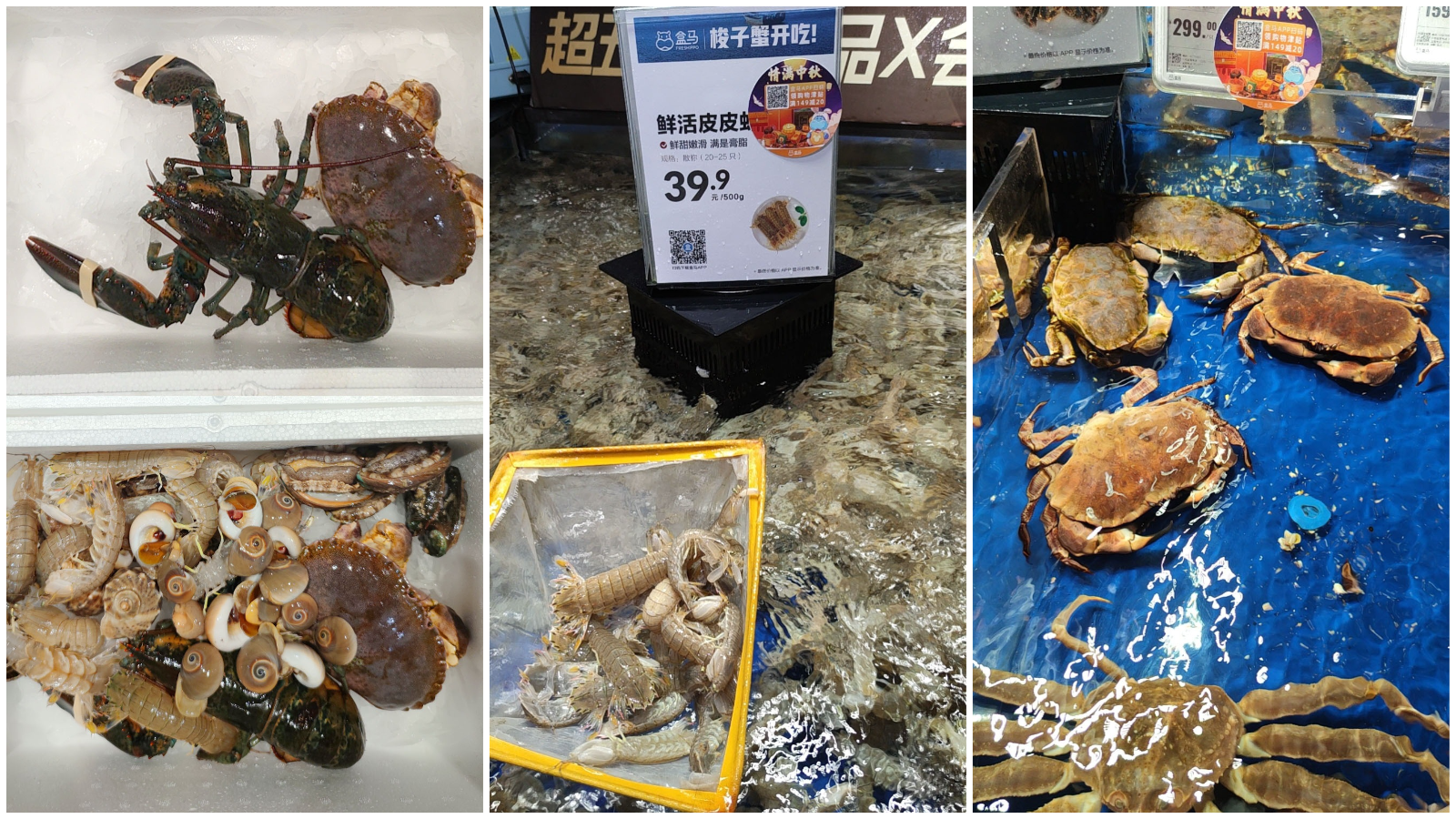/blog/游记/附件/2021/20210915_初秋的青岛之行Day3-4.海鲜.png