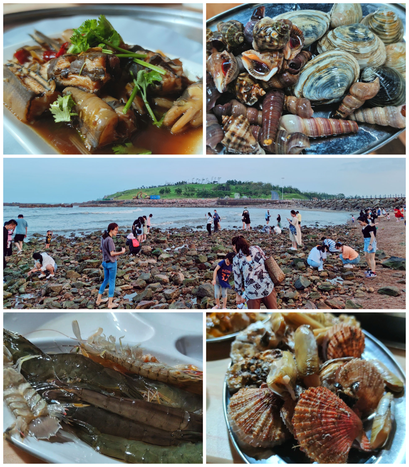 /blog/20210914_初秋的青岛之行Day2.小麦岛与海鲜自助.png